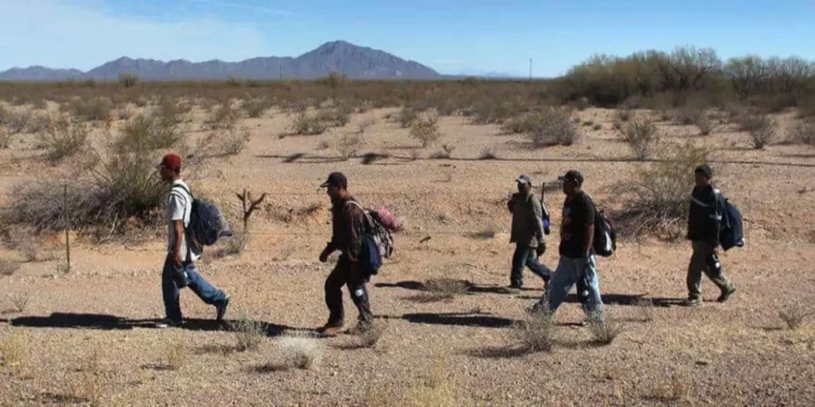 Foto: archivo // Al menos el 95 por ciento de los casos de deportación registrados, las y los migrantes decidieron volver a cruzar la frontera por cuenta propia.