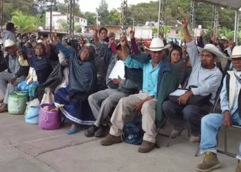 La finalidad del CIPPEO fue reglamentar las tradiciones y prácticas democráticas de las comunidades indígenas