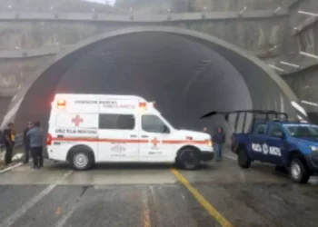 Fue atropellado en el túnel número 4 de la autopista Mitla–Tehuantepec, a la altura del tramo Llano Crucero.