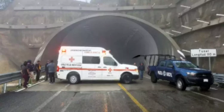Fue atropellado en el túnel número 4 de la autopista Mitla–Tehuantepec, a la altura del tramo Llano Crucero.