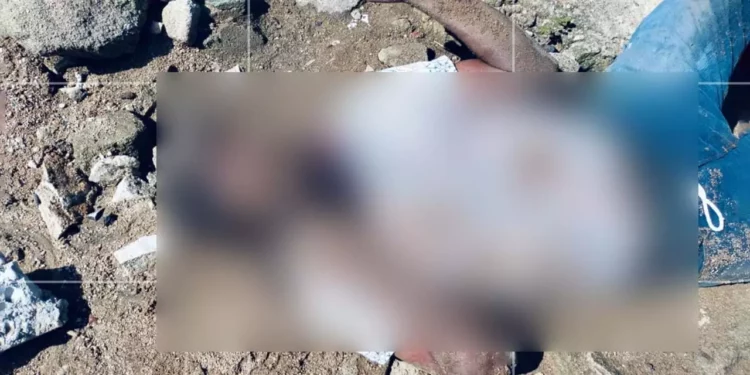 Hasta el cierre de edición, el cuerpo no había sido reclamado por algún familiar.