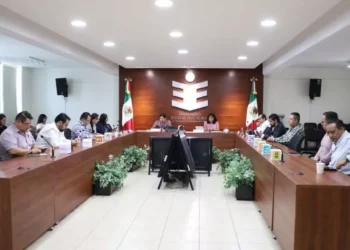 Van 55 quejas por violencia  política contra las mujeres en 2025