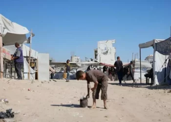 En vigor, el alto al fuego en Gaza; urge MSF por ayuda humanitaria