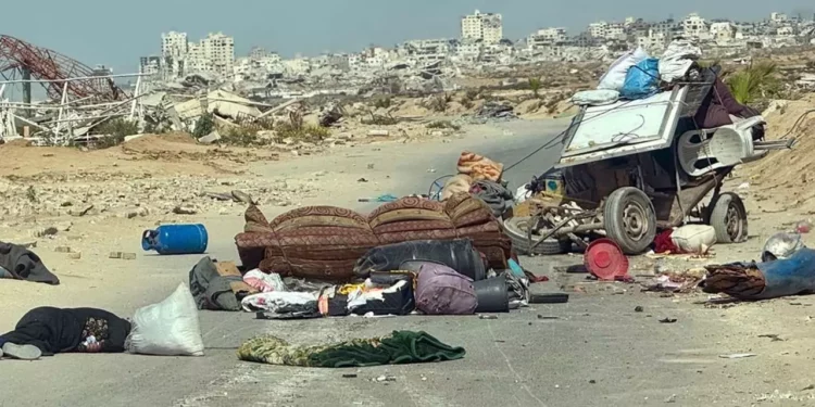 Palestina e Israel intercambian rehenes; ¿concluirá el genocidio?