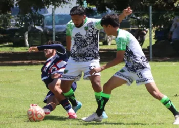 Las acciones de Liga Mayor A se encuentran en la recta final.