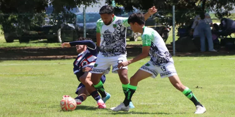 Las acciones de Liga Mayor A se encuentran en la recta final.