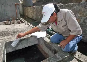 Foto: archivo // Recomendaron la constante limpieza de patios y azoteas, así como evitar la acumulación de agua.