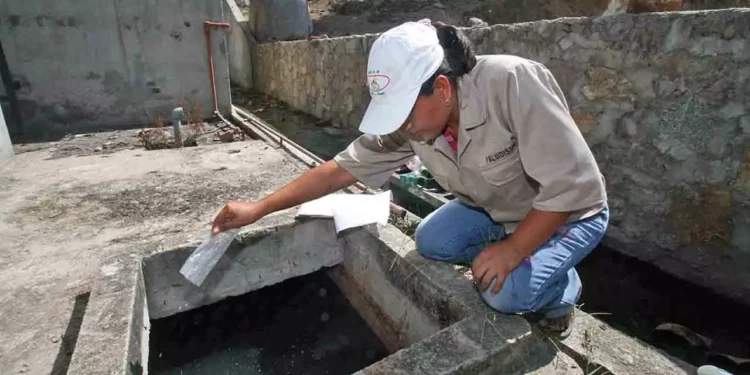 Foto: archivo // Recomendaron la constante limpieza de patios y azoteas, así como evitar la acumulación de agua.