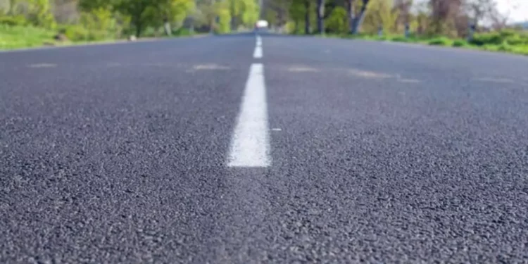 La línea blanca que cambió todo: cómo una pintura salvó miles de vidas