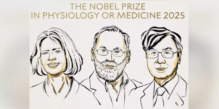 Nobel de Medicina 2025: Revelan clave para frenar enfermedades autoinmunes