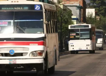 Foto: Archivo El Imparcial – ilustrativa // De un parque vehicular de 710 unidades con que cuenta el pulpo camionero, solo 44 tienen la antigüedad permitida por la ley para circular.