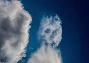 La comunidad lingüística reconoce el valor del concepto Pareidolia pero, la Real Academia mantiene el término en revisión.