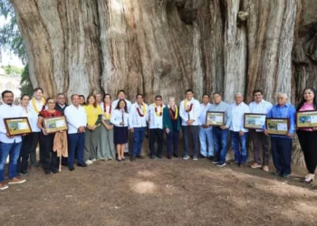 Entregan ocho certificados de Árboles Notables e Históricos a autoridades municipales de Oaxaca.
