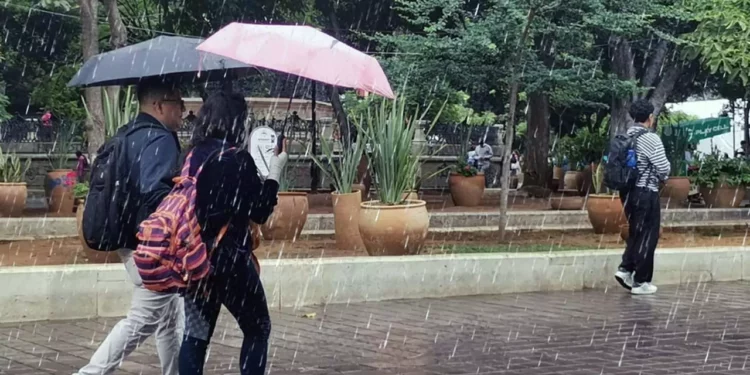 Foto: Jesús Santiago // Las mayores precipitaciones se prevén en las regiones de la Costa, Istmo de Tehuantepec, Sierra Sur, Mixteca, Valles Centrales, Sierra de Flores Magón y Sierra Norte.