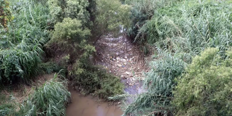 Foto: Adrián Gaytán // Hasta en el 2023, las autoridades estatales identificaron al menos 58 descargas por aguas residuales en los ríos Atoyac y Salado.