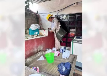 Tuxtepec, foco rojo con 70% de casos de dengue; 202 en el estado
