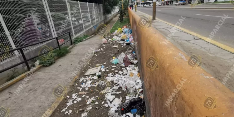 Oaxaca entre montones de basura: el problema que nadie recoge