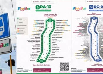 BinniBus expande rutas, dos nuevas prometen ampliar cobertura en zonas clave
