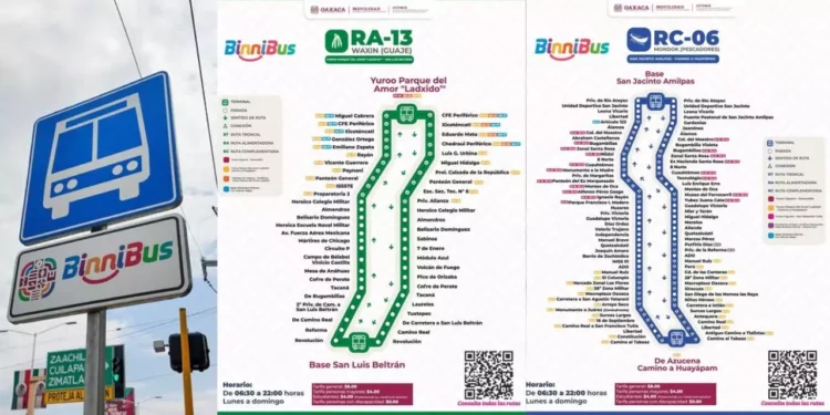 BinniBus expande rutas, dos nuevas prometen ampliar cobertura en zonas clave
