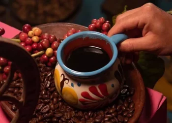 ¿Sabes que Oaxaca tiene uno de los mejores cafés del mundo?