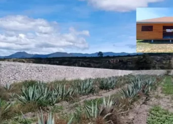 Clausuran obras ilegales dentro del Monumento Natural Yagul en Oaxaca