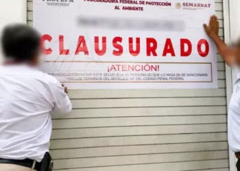 Clausuran otra huarachería en Oaxaca por vender calzado con pieles exóticas
