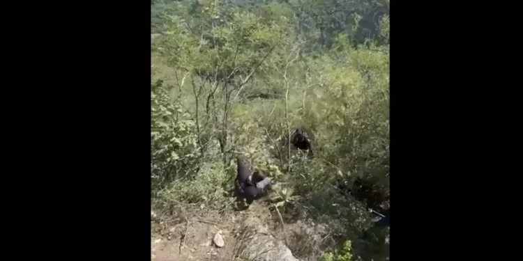 VIDEO | Fin del misterio: localizan sin vida a dos personas en la Sierra Flores Magón