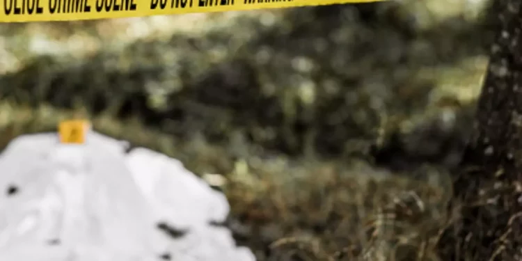 Horror en Matías Romero: hallan a pareja asesinada a balazos junto a camino rural