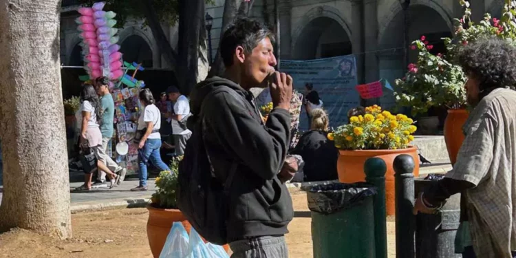 Foto: Redes sociales // La imagen viral del hombre fumando marihuana en el Zócalo de Oaxaca reabre el debate sobre la efectividad de los operativos de seguridad y la falta de atención social en el espacio público más emblemático de la capital.