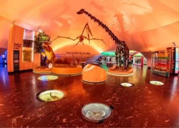 El costo de los museos aumentará en 2026 con el objetivo de “fomentar y difundir el patrimonio cultural de México”.