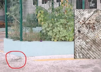 Una trampa afilada en la banqueta: ¿hasta dónde llega la negligencia urbana?