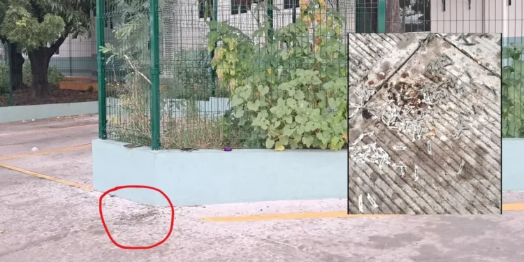 Una trampa afilada en la banqueta: ¿hasta dónde llega la negligencia urbana?