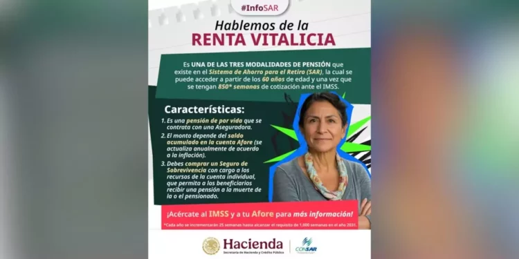 Renta vitalicia del IMSS: ¿seguridad económica real o una promesa condicionada?