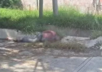 ¡Terror en Santo Domingo! Enjambre de abejas habría matado a tres personas; autoridades guardan silencio