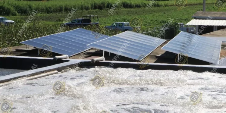 Nueva planta de tratamiento en Oaxaca: un respiro al Atoyac y un paso contra el rezago hídrico