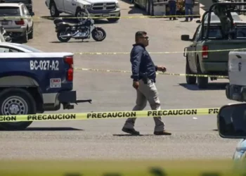 A nivel nacional se registró una baja histórica del 32 por ciento.