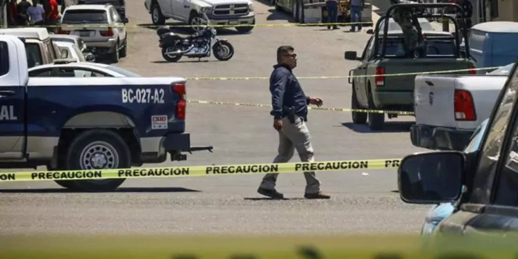 A nivel nacional se registró una baja histórica del 32 por ciento.