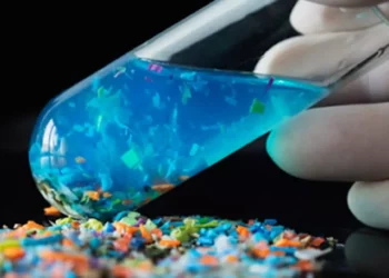 Microplásticos y salud humana: lo que la ciencia ha descubierto hasta ahora
