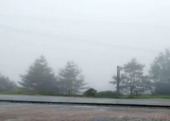 El Congreso local aprobó un exhorto para mejorar la señalización en carreteras que conectan con San Juan Bautista Tuxtepec.