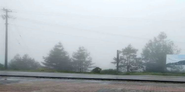 El Congreso local aprobó un exhorto para mejorar la señalización en carreteras que conectan con San Juan Bautista Tuxtepec.
