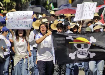 Foto: Ivonne Mateo // Frenar asesinatos y un país sin corrupción; oaxaqueños se unieron al Movimiento del Sombrero.