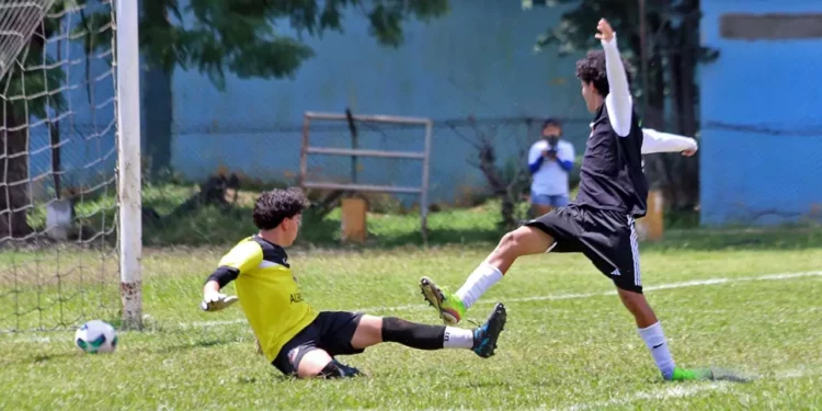 Foto: Leobardo García Reyes // Este domingo arranca la Liguilla de Liga Mayor A.