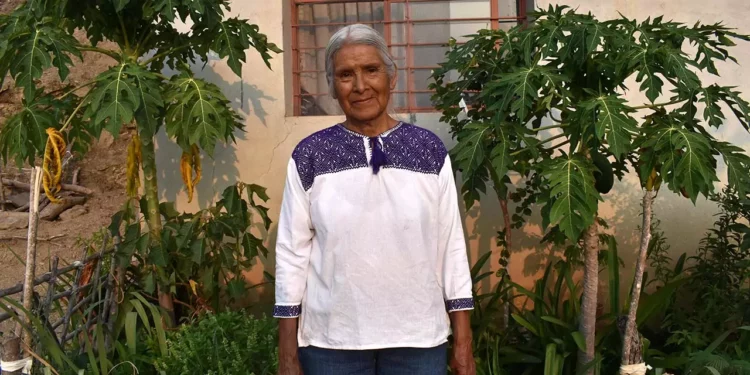 Juana Vásquez Vásquez fue homenajeada por su trayectoria en la revitalización y defensa de la lengua zapoteca.