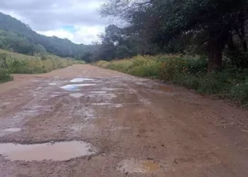 Foto: Alain Albarrán // Las malas condiciones en que se encuentra la vía federal 200, sobre todo en la región de la Mixteca.
