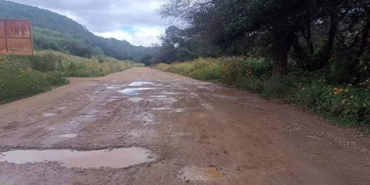 Foto: Alain Albarrán // Las malas condiciones en que se encuentra la vía federal 200, sobre todo en la región de la Mixteca.