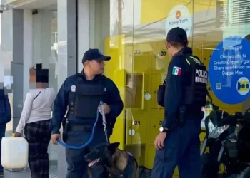 Foto: IGAVEC // Dentro de los fraudes presenciales y por teléfono se encuentra la clonación de tarjetas