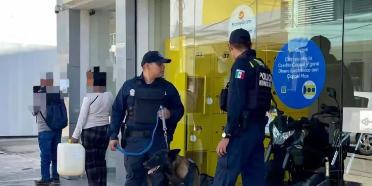 Foto: IGAVEC // Dentro de los fraudes presenciales y por teléfono se encuentra la clonación de tarjetas