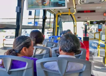 Interior de un BinniBus.