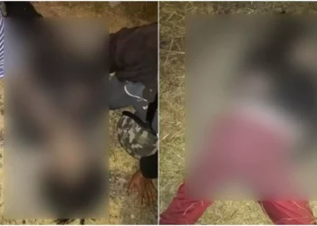 La pareja se encontraba tendida a la orilla de la carretera.