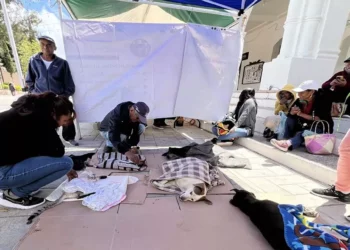 Más de 35 perritos y gatitos fueron esterilizados de manera segura y responsable.